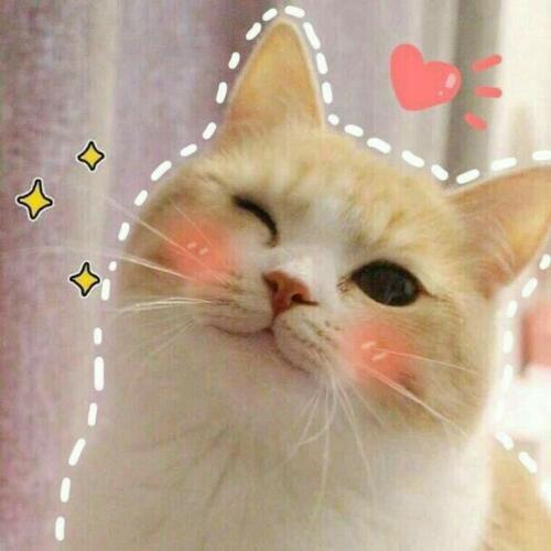 สมาชิกหมายเลข 3216646