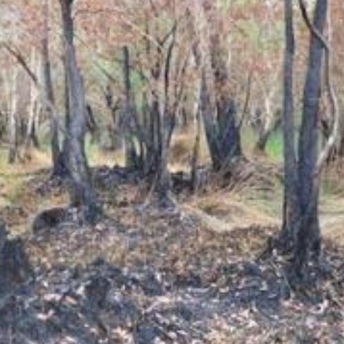 สมาชิกหมายเลข 4155564