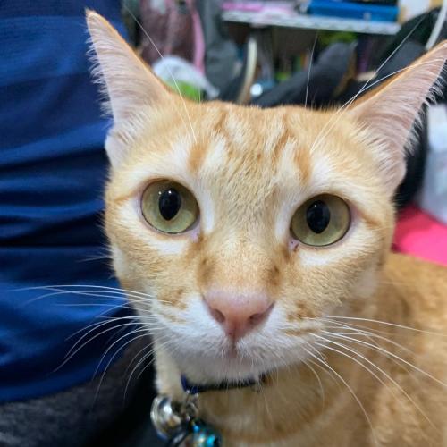 สมาชิกหมายเลข 5816534