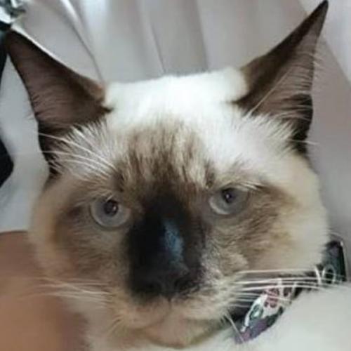 สมาชิกหมายเลข 1841673