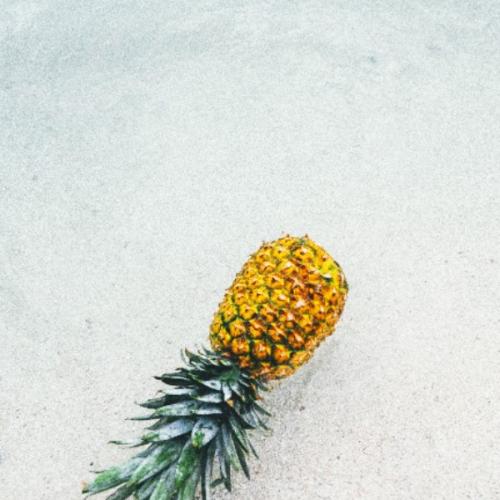 สมาชิกหมายเลข 1887423