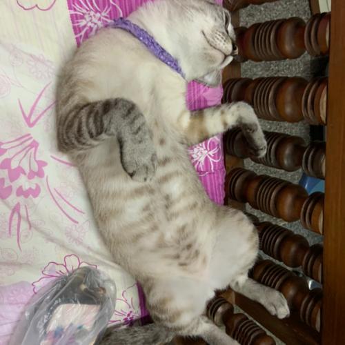 สมาชิกหมายเลข 6419501