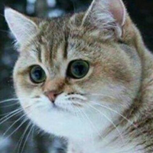 สมาชิกหมายเลข 5802097