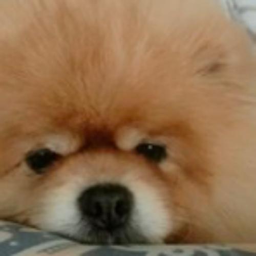 สมาชิกหมายเลข 6882535