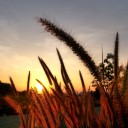 สมาชิกหมายเลข 3731280