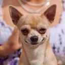 สมาชิกหมายเลข 3231354