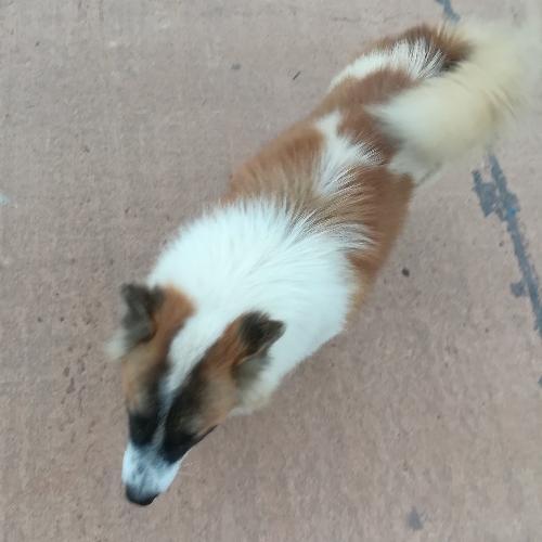 สมาชิกหมายเลข 4056286