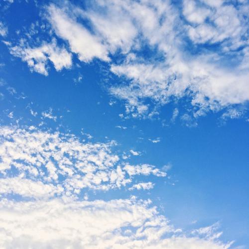 สมาชิกหมายเลข 4596194