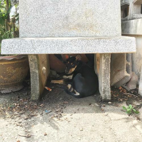 สมาชิกหมายเลข 4939339