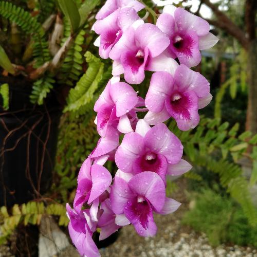 สมาชิกหมายเลข 5817290