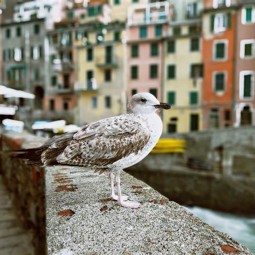 สมาชิกหมายเลข 5817558