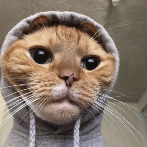 สมาชิกหมายเลข 6419113