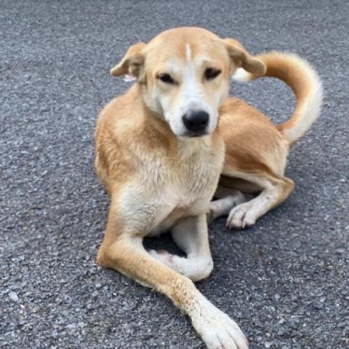 สมาชิกหมายเลข 6420128