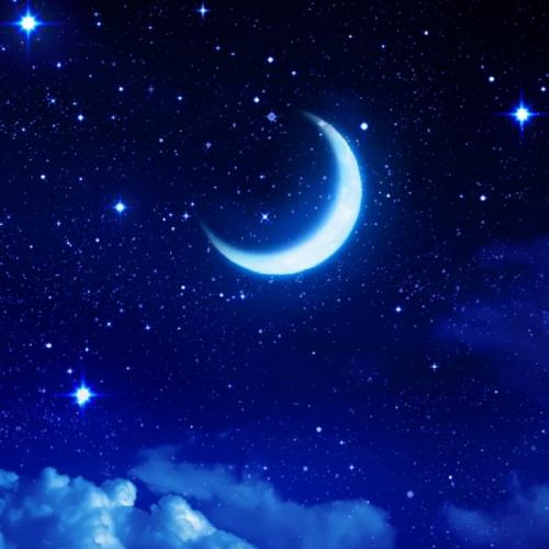 สมาชิกหมายเลข 6420268