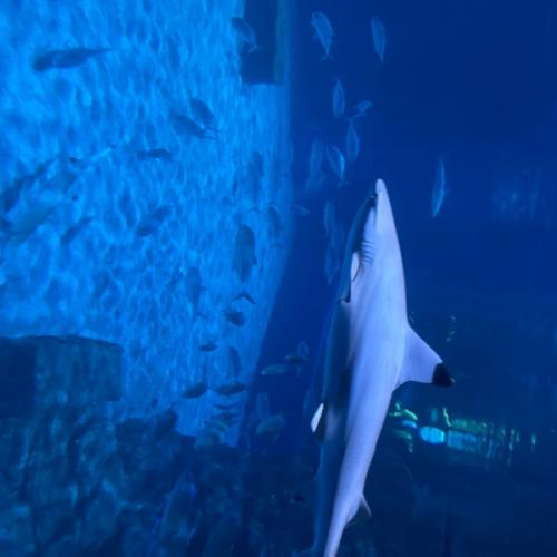 สมาชิกหมายเลข 1988899