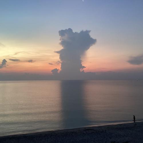 สมาชิกหมายเลข 7039381