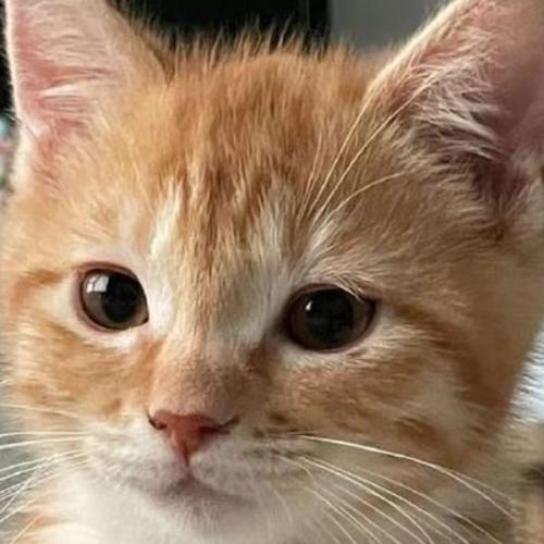 สมาชิกหมายเลข 7896953