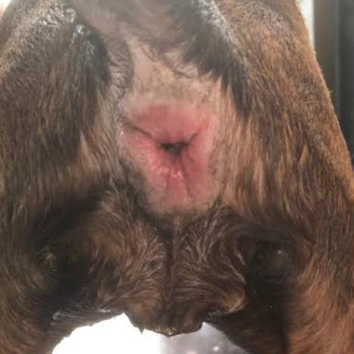 สมาชิกหมายเลข 4335811