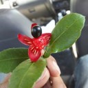 สมาชิกหมายเลข 3391130