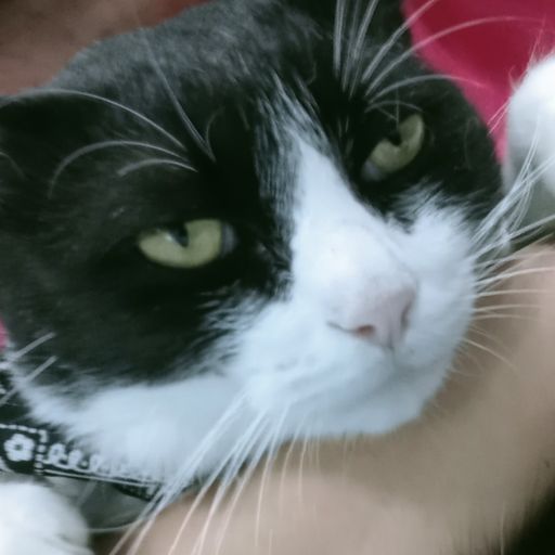 สมาชิกหมายเลข 9038743