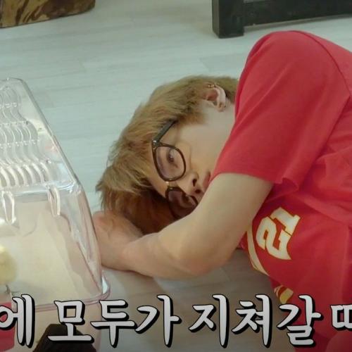 สมาชิกหมายเลข 3726566