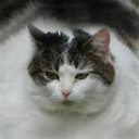 สมาชิกหมายเลข 1899016