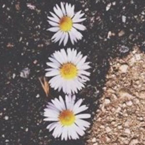 สมาชิกหมายเลข 5537809