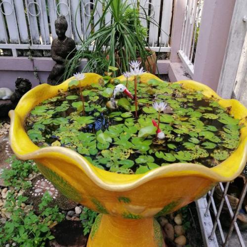 สมาชิกหมายเลข 5631212