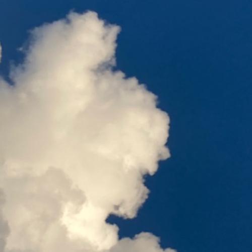 สมาชิกหมายเลข 5882404