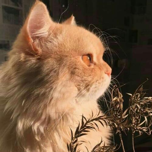 สมาชิกหมายเลข 6420822