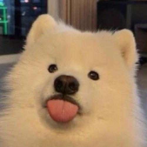 สมาชิกหมายเลข 7113183