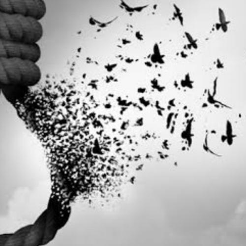 สมาชิกหมายเลข 7113786