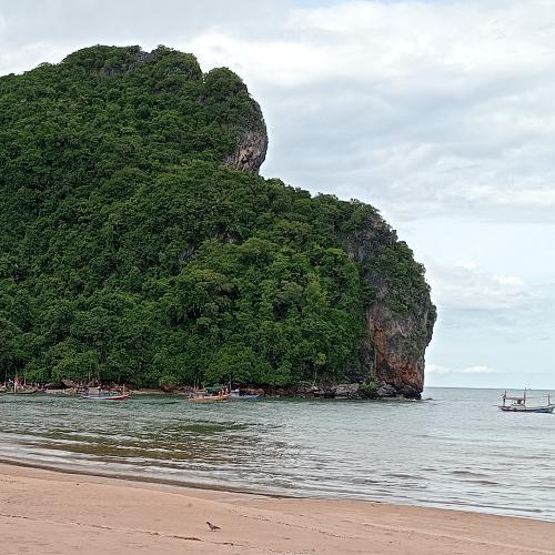 สมาชิกหมายเลข 8806081