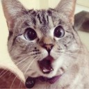 สมาชิกหมายเลข 3732612