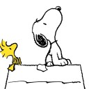 สมาชิกหมายเลข 4137890