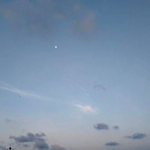 สมาชิกหมายเลข 9323545