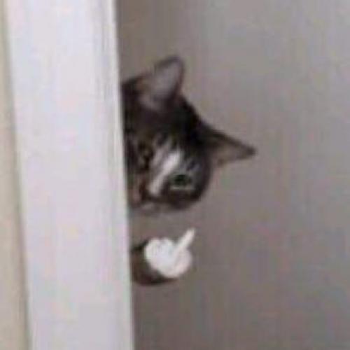 สมาชิกหมายเลข 4944463