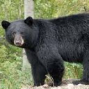 สมาชิกหมายเลข 4944653