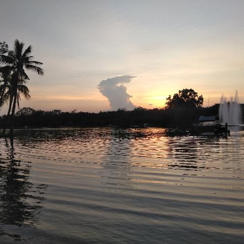 สมาชิกหมายเลข 4944772