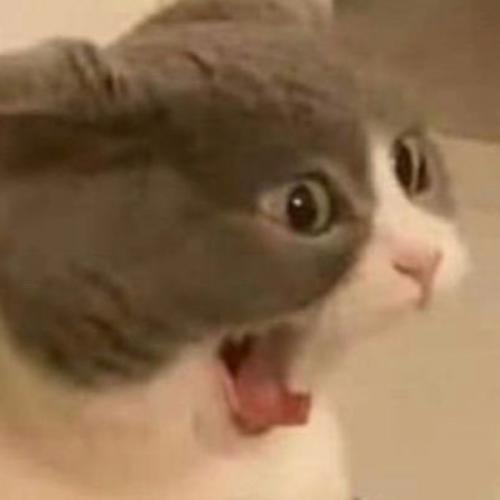 สมาชิกหมายเลข 3232421