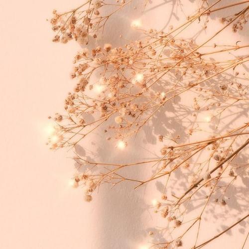 สมาชิกหมายเลข 6414893