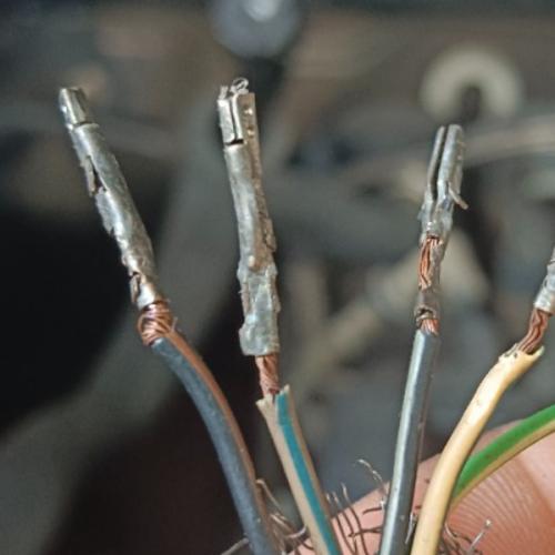 สมาชิกหมายเลข 5031093