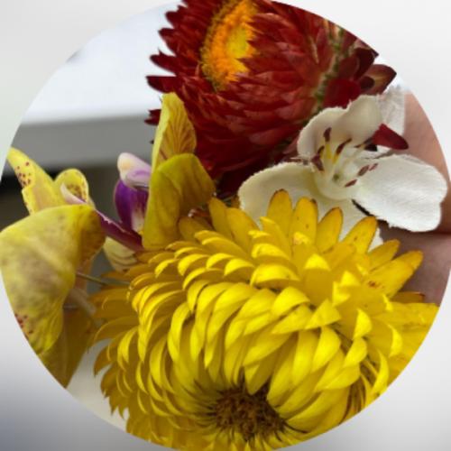 สมาชิกหมายเลข 1039379