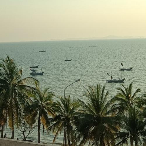 สมาชิกหมายเลข 6876721