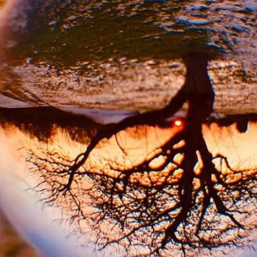 สมาชิกหมายเลข 7899088