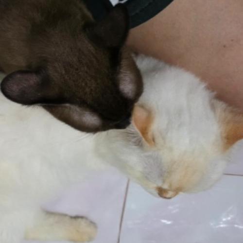 สมาชิกหมายเลข 2560574