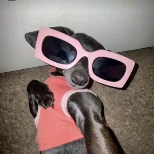 สมาชิกหมายเลข 8910777