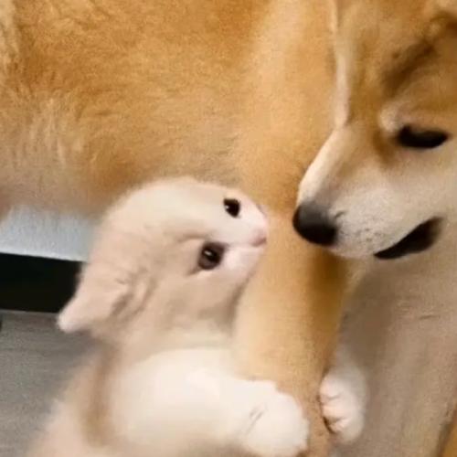 สมาชิกหมายเลข 8911736