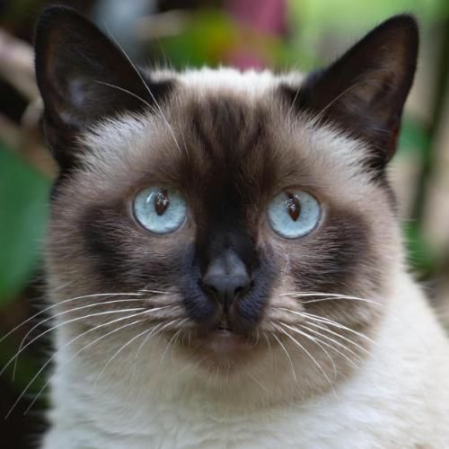 สมาชิกหมายเลข 766574