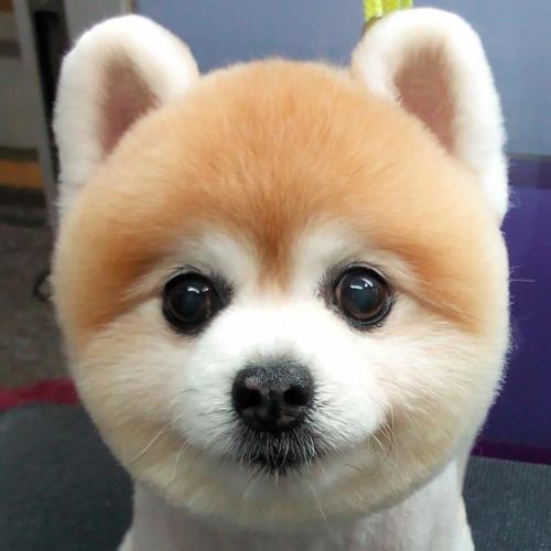 สมาชิกหมายเลข 909443